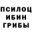 Галлюциногенные грибы Magic Shrooms Giorgi Shoshitashvili