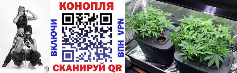 Купить где  Болгар  Марихуана планчик 